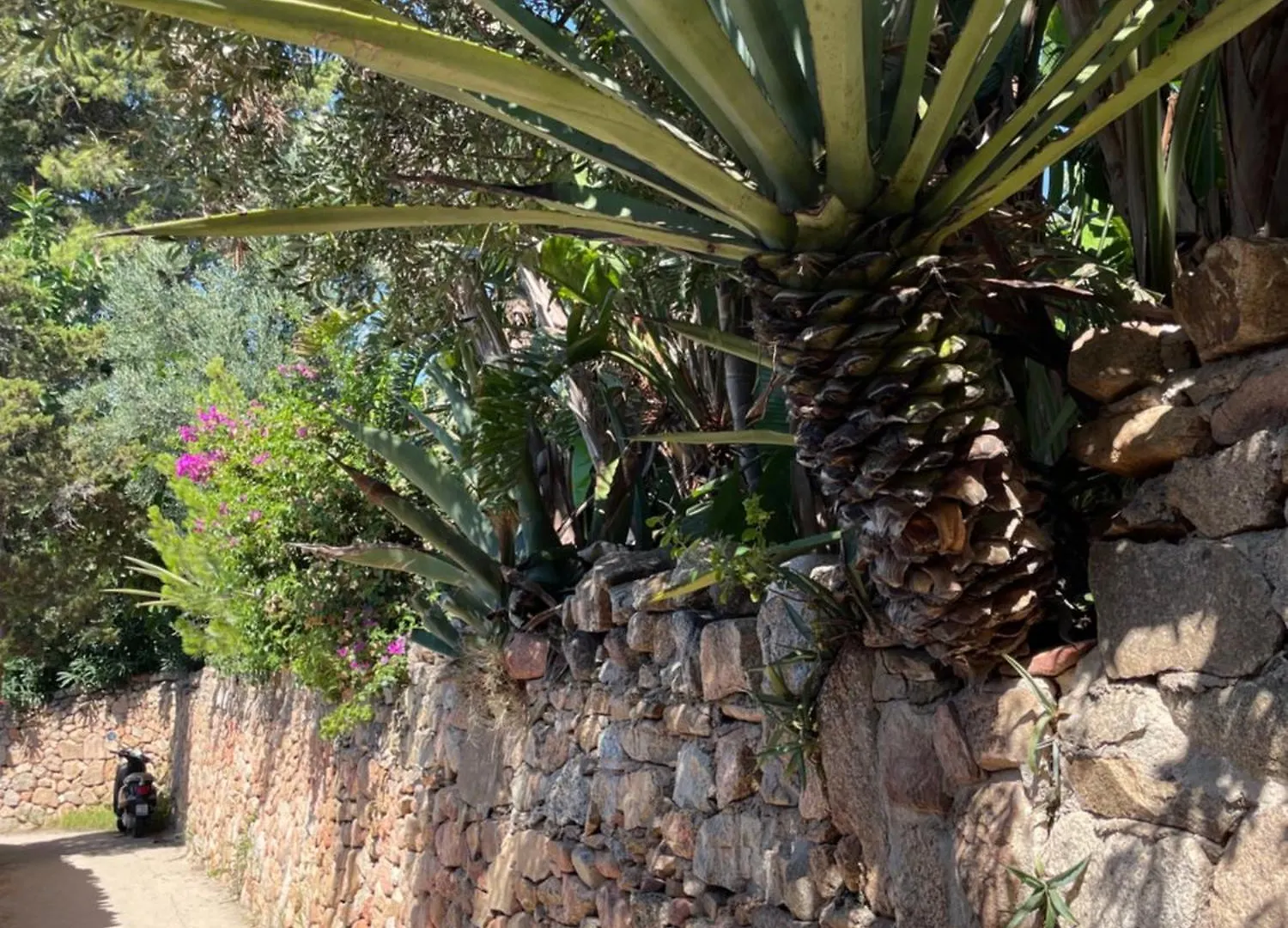 Apartment Wiki'S Place Porto Rotondo